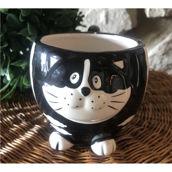 pier 1 Other - Pier 1 Imports CHUBBY CAT Coffee‎ Mug Tea Black White 3D Mother's Day Gift